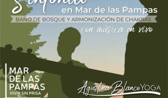 SINTONA EN MAR DE LAS PAMPAS: BAO DE BOSQUE Y ARMONIZACIN DE CHAKRAS